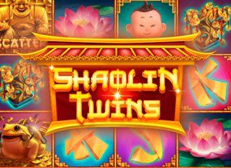 Shaolin Twins